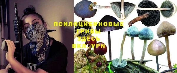 дурь Алексин
