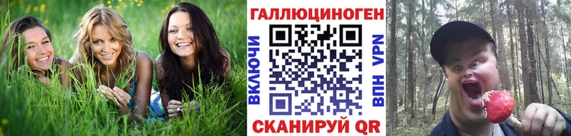 Галлюциногенные грибы Magic Shrooms  купить  сайты  Добрянка 